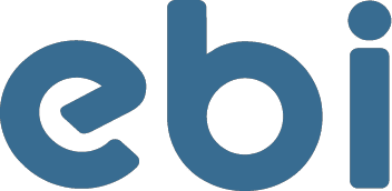 EBI Capital Logo